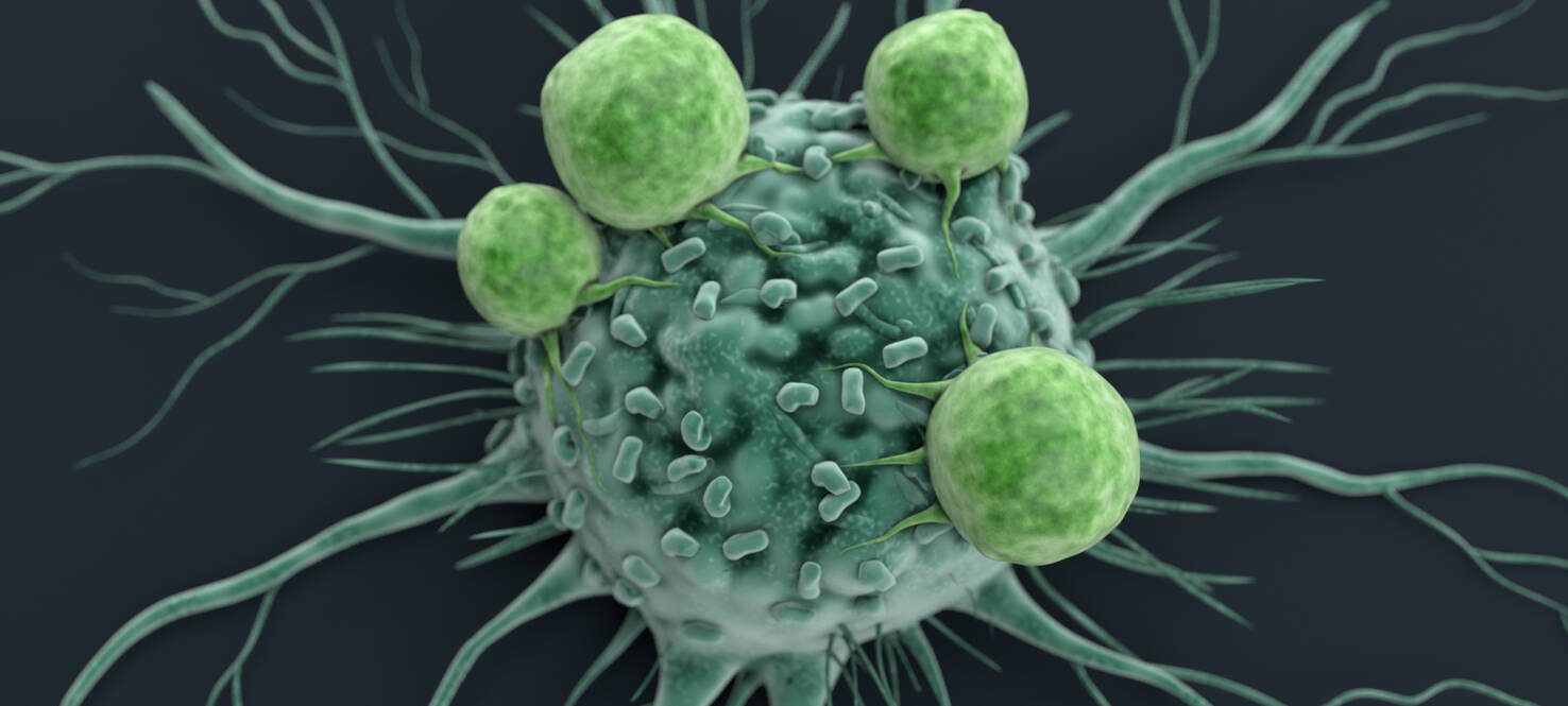 graphic of cancer cell being attacked by immune cells