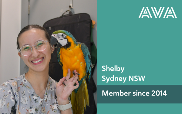 Member Renewal 2025 (600x377)_Shelby.png