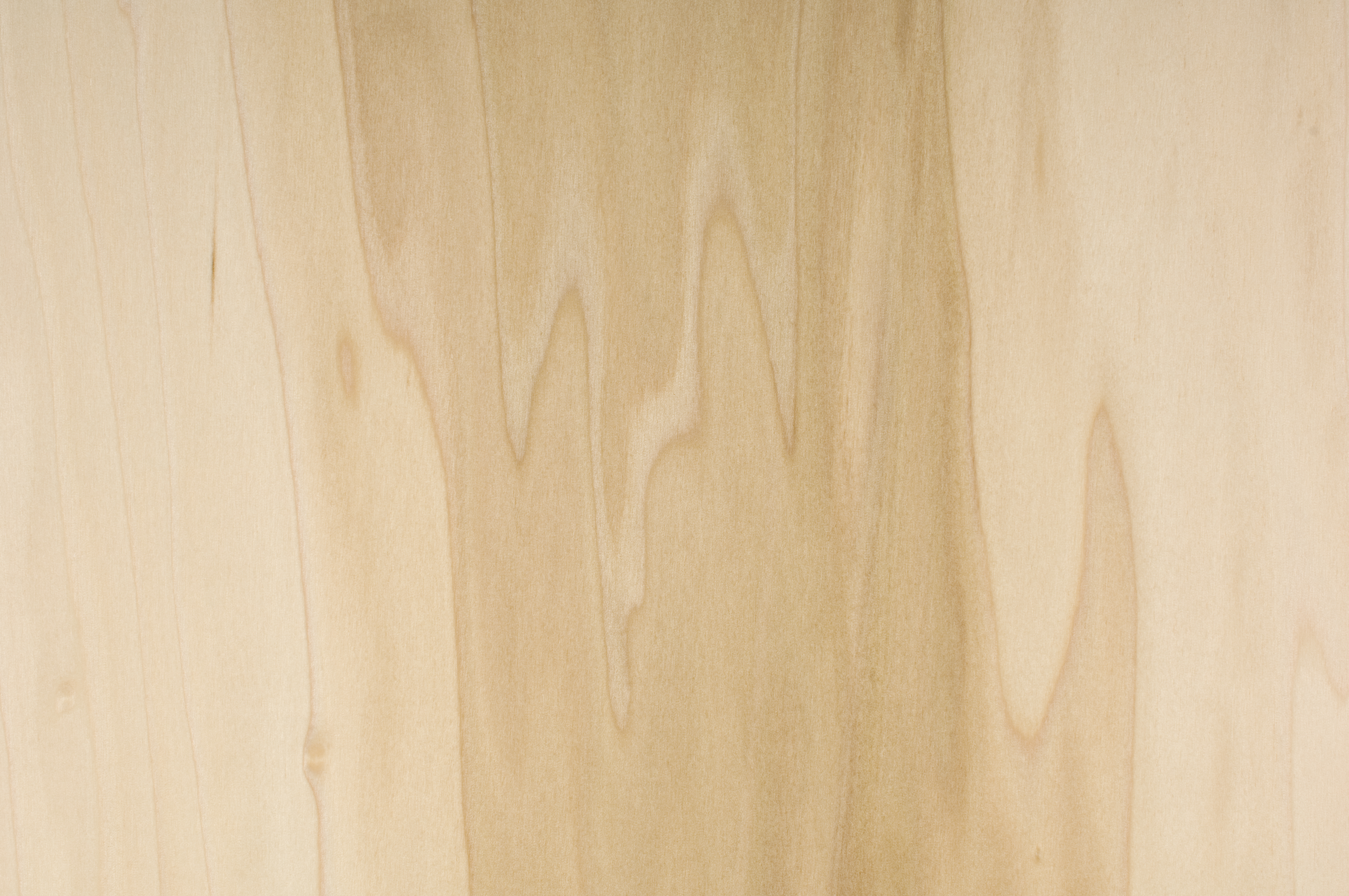 Murphy_HP_Poplar_WP_05