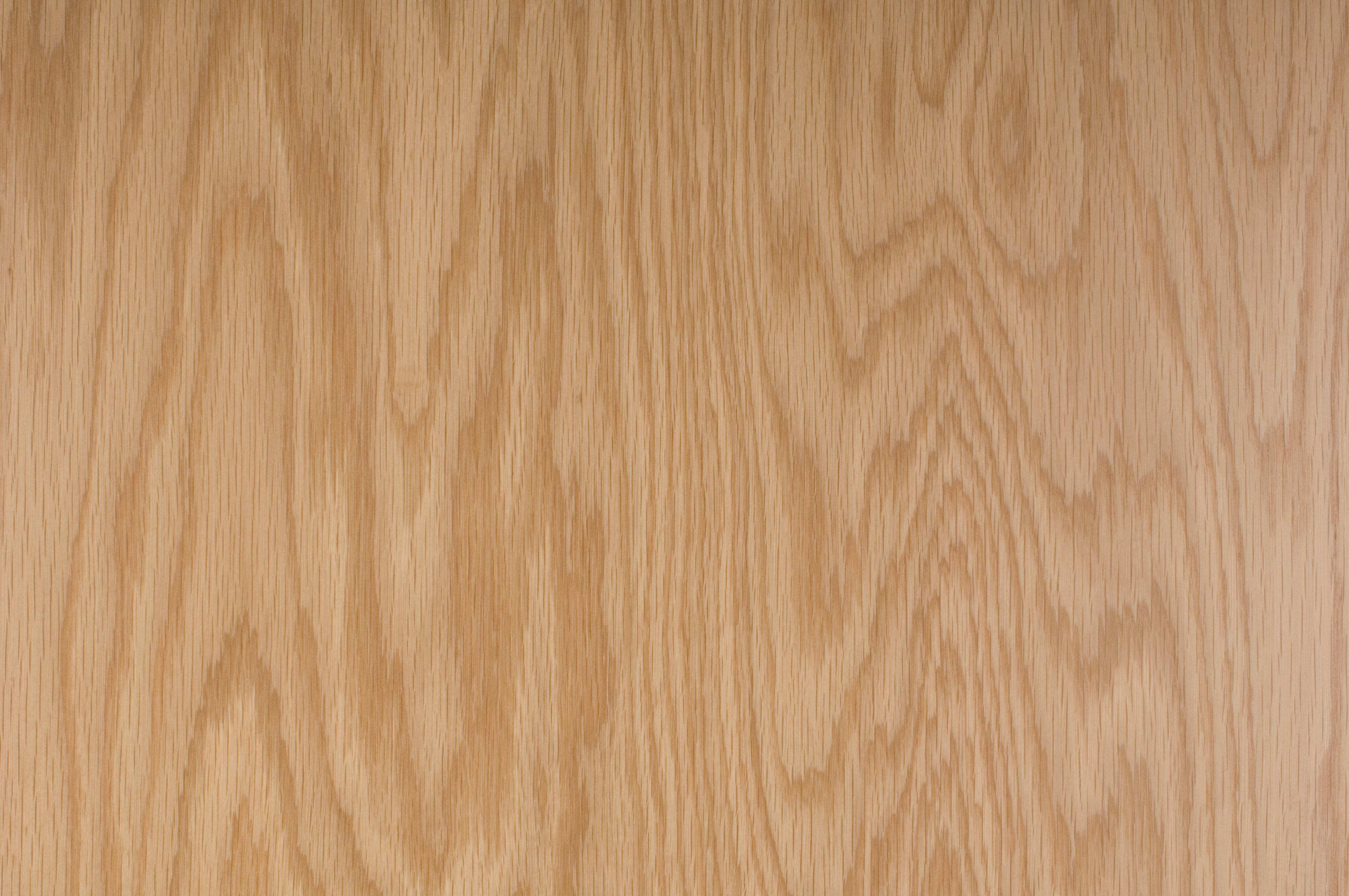 Murphy_HP_White_Oak_WP_01