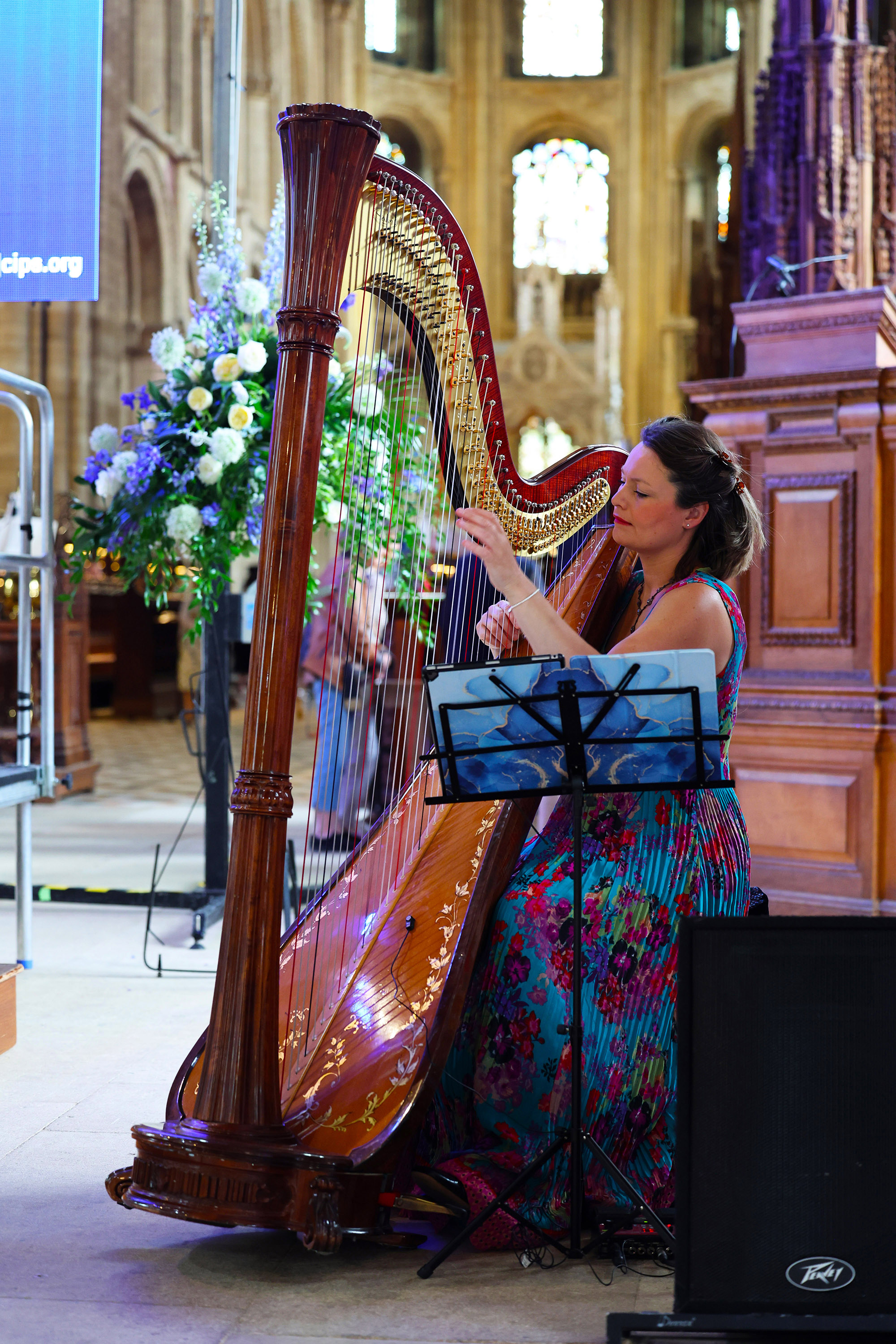 Musician playing a harp during the graduation event