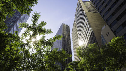 Office Buildings Trees Sky Perspective Sun Nature City