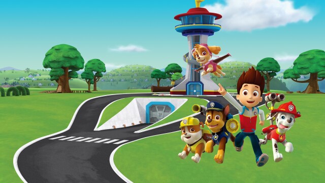 Paw Patrol image