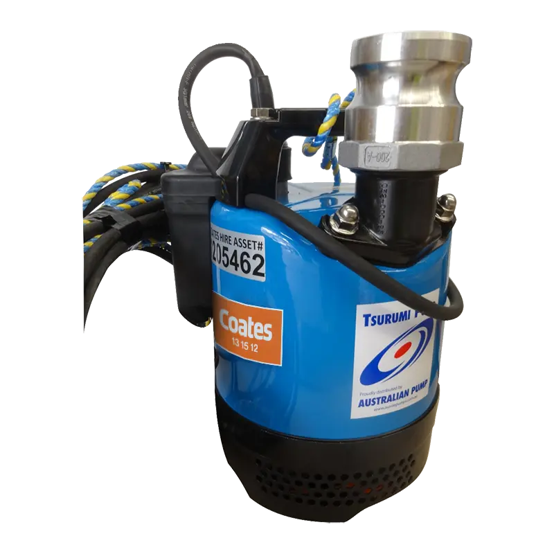 Submersible and Flexdrive Pumps