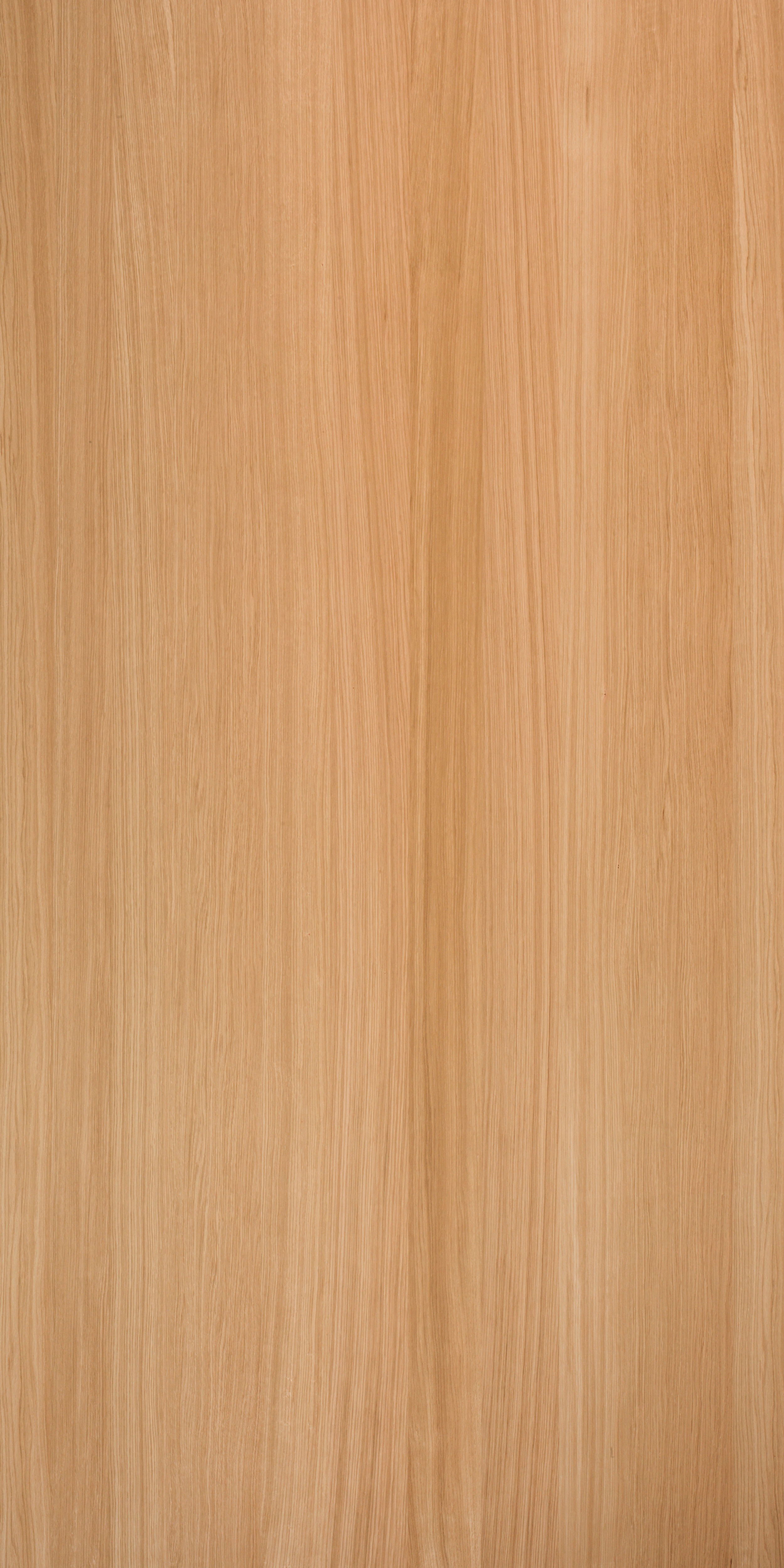 Querkus_Oak_Natural_Adagio_Panel
