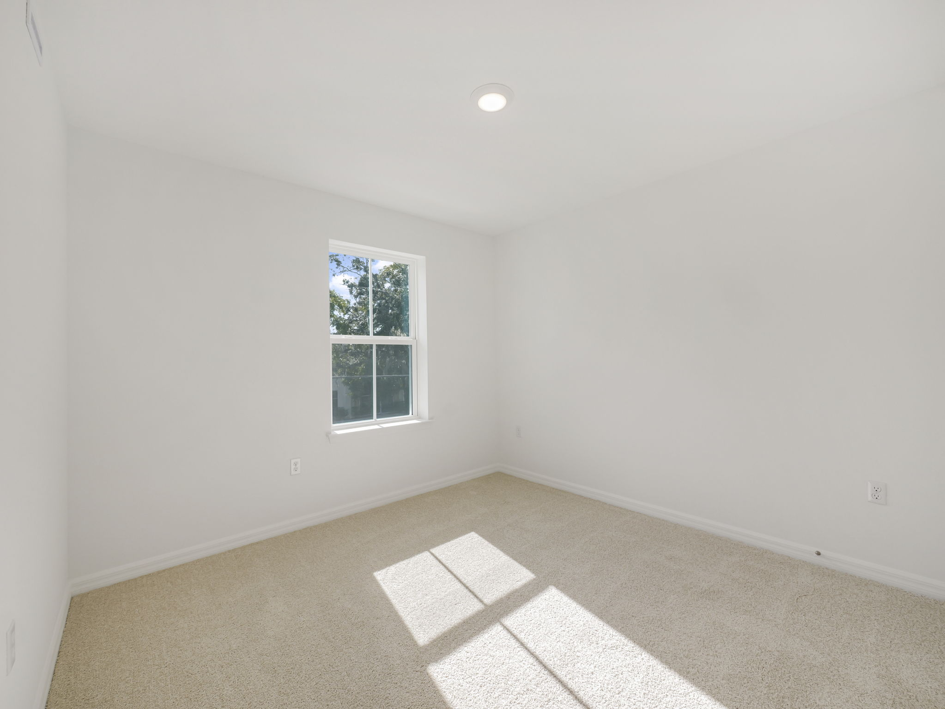 second bedroom with carpet and one window