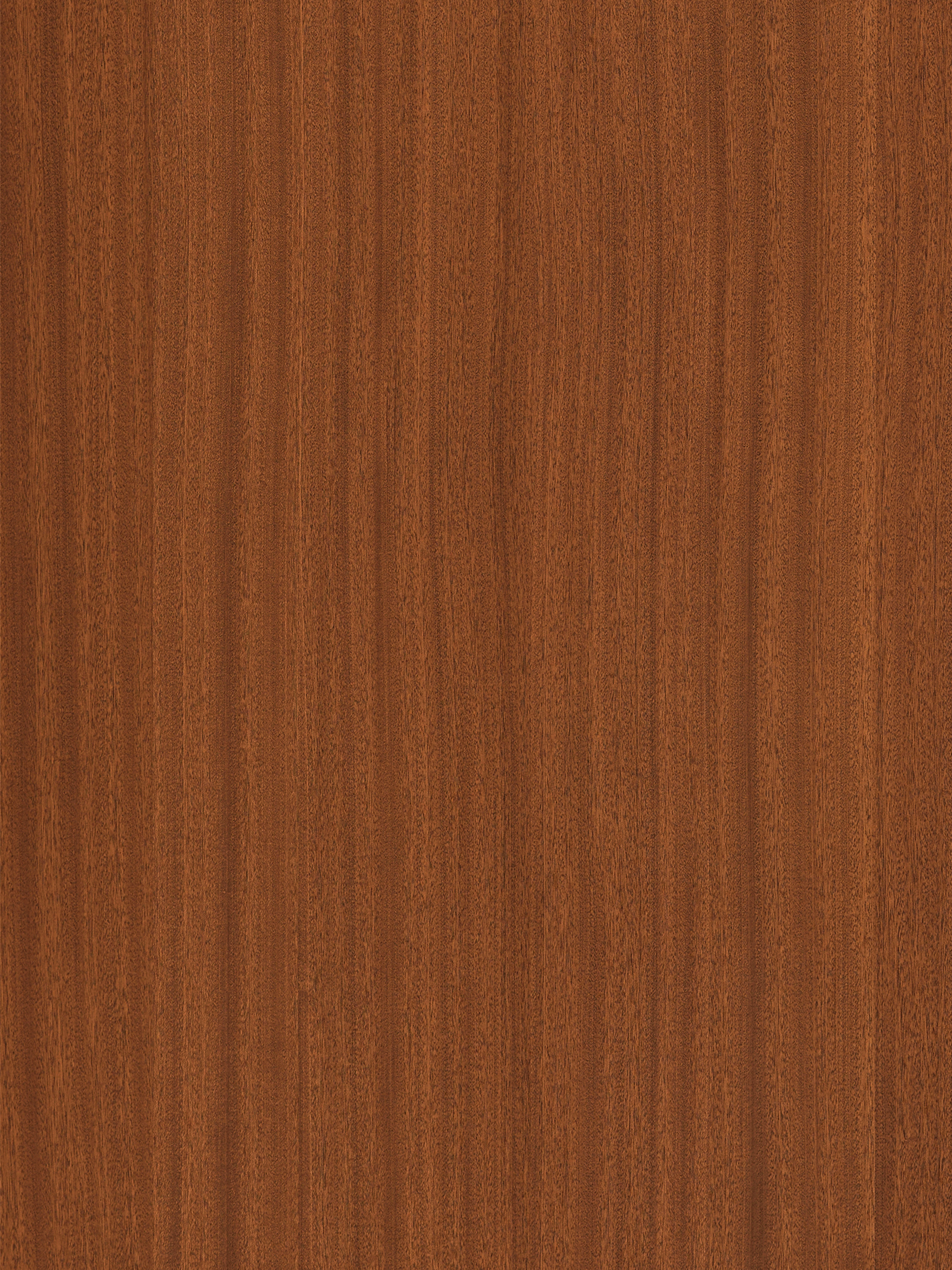 Shinnoki_Terra_Sapelli_Bathroom