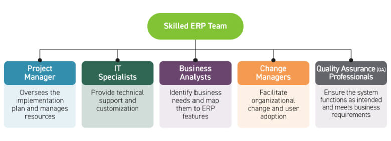 Components of a skilled ERP implementation team