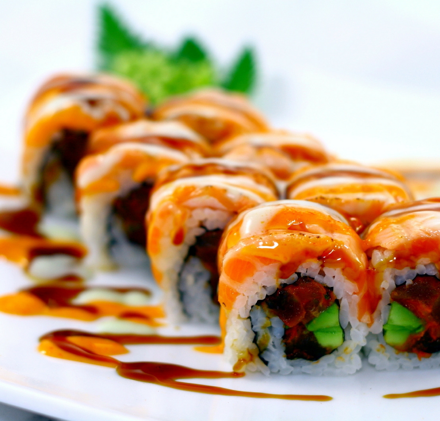 Sushi Paradise