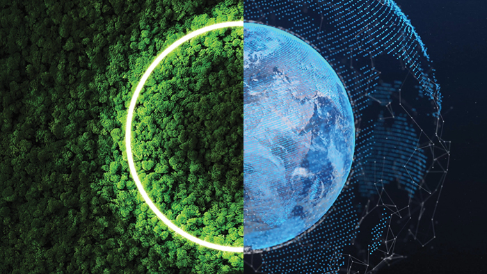 Image split into two, joined in a circle depicting a coin. The left side shows a forest from above, with a green ring in the middle, meeting the right-hand side of the image of the earth, with global trade networks depicted by lines in the background.