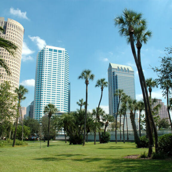 Cherry Bekaert Tampa Location