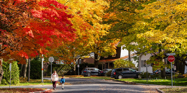 A serene neighborhood scene, showing tree-lined streets, people walking or biking, and homes with welcoming front porches