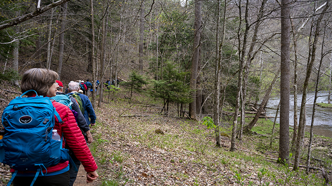 Choose Your Pace: Hiking Scenic Southwest Virginia