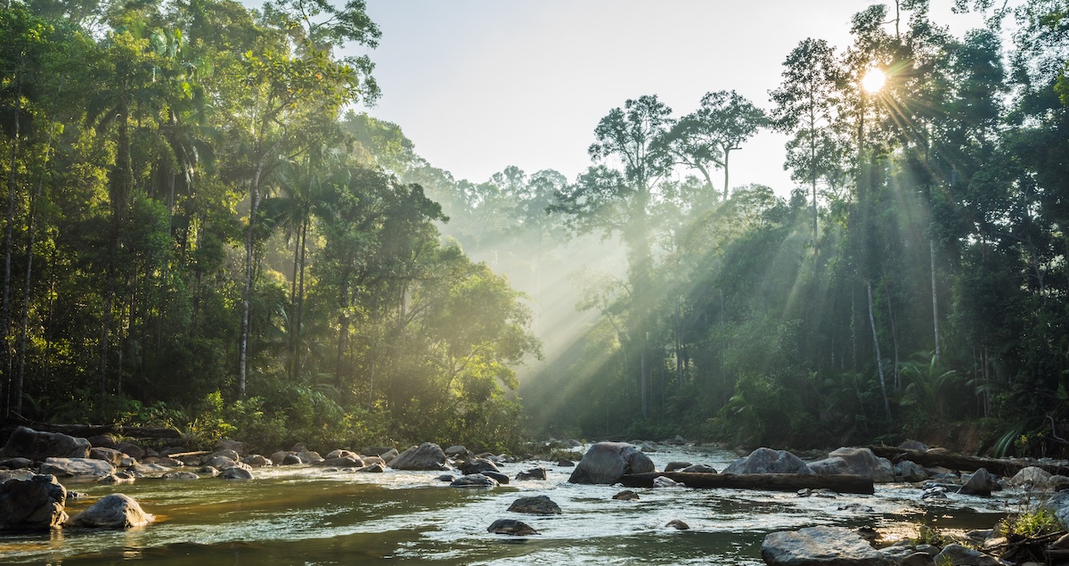 While much of Johor is covered in jungle, its capital city is a major business and industrial hub