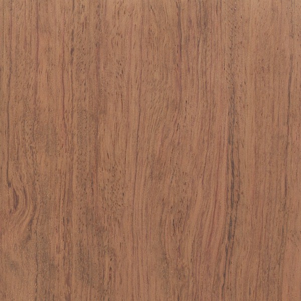 Wood_Species_Bubinga