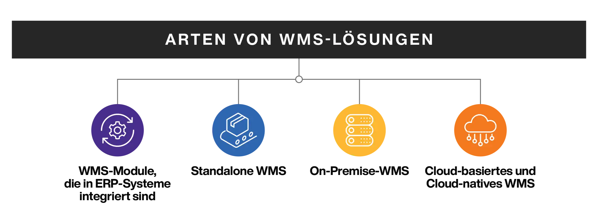Types of WMS Systems