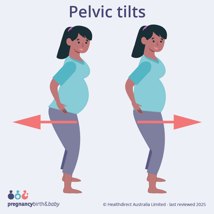 Illustration of a pregnant person doing pelvic tilts.