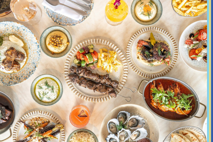 Image of Lyra food