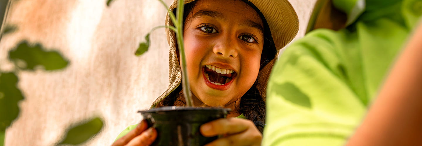 الأجهزة الموفرة للطاقة ودورها في تعزيز العيش المستدام | الدار