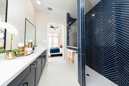 Serendipity Master Bath