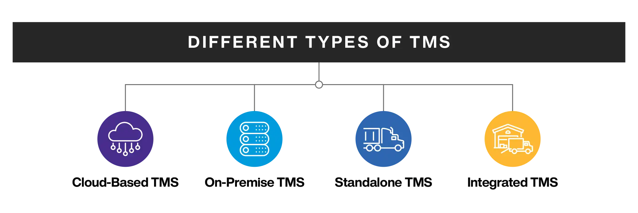 Different Types of TMS