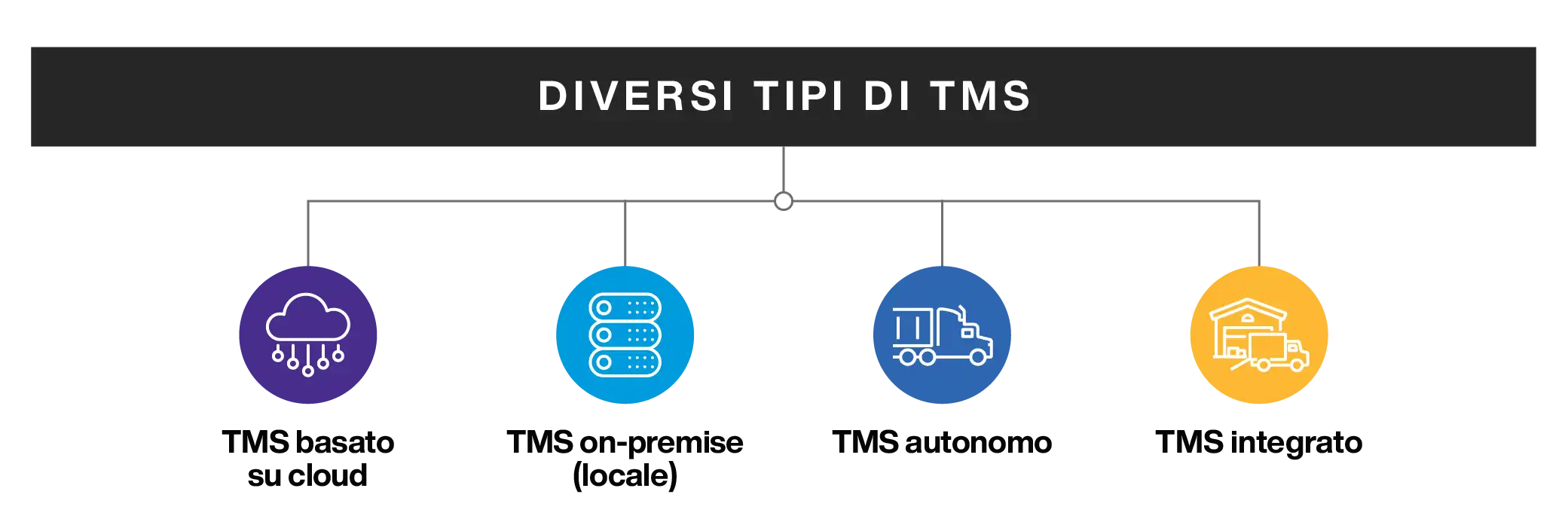 Different Types of TMS