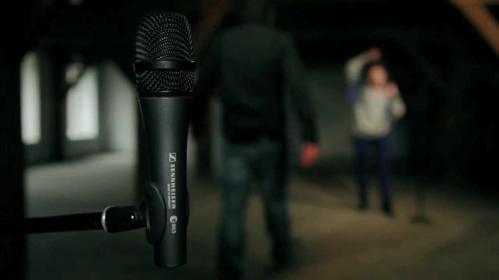 e 865 Vocal and Speech Condenser Super-Cardioid Microphone - Live Recording