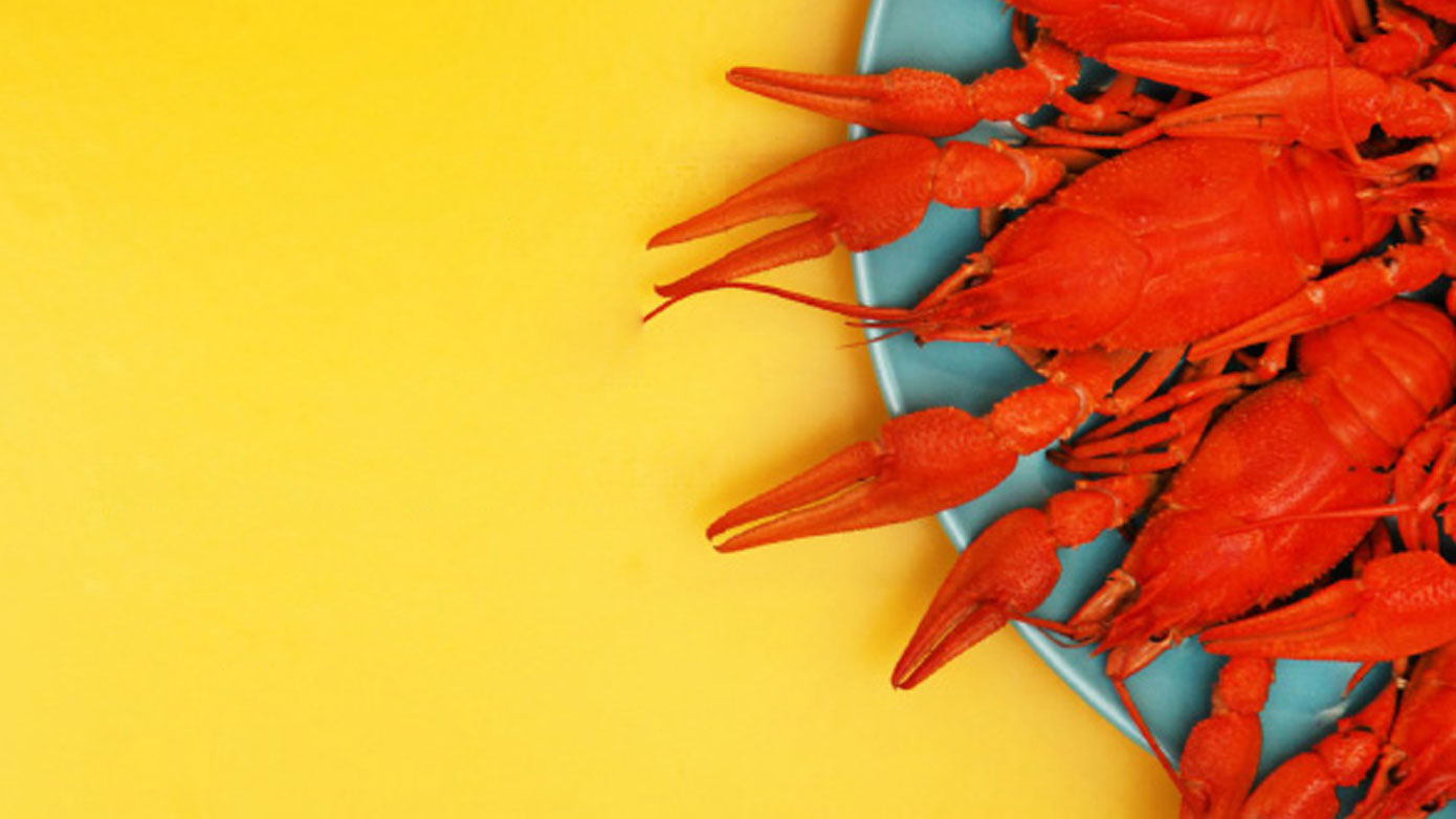 food_beverage-1390w.jpg