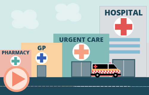 hd-language-what-care-do-i-need-ed4390.png