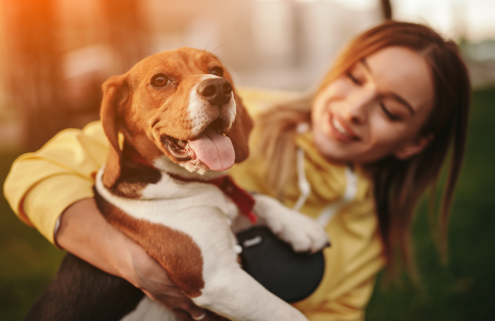 iStock dog and woman