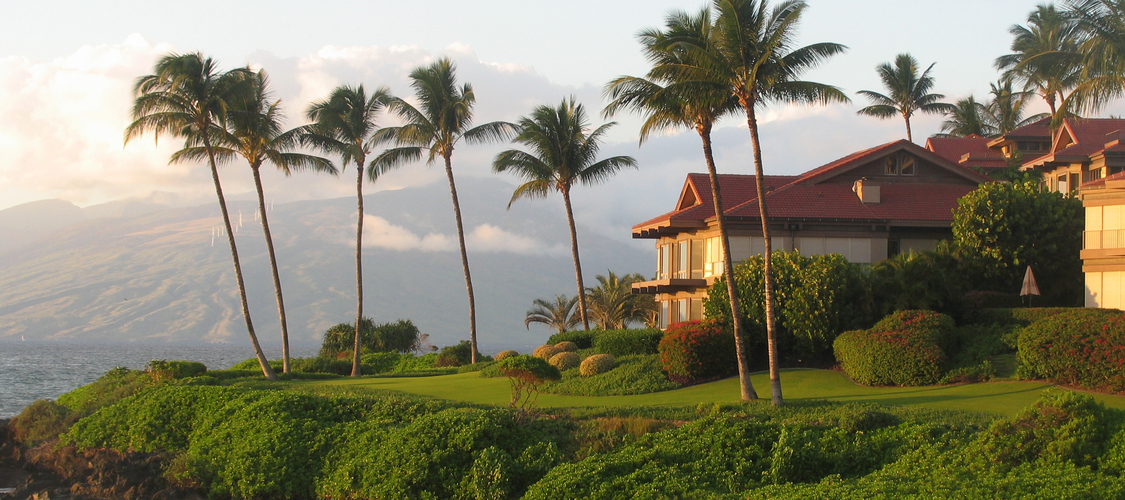 A gorgeous home overlooking the water in Hawaii framed by palm trees.