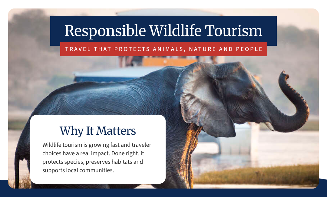 infographic on responsible tourism and why it matters