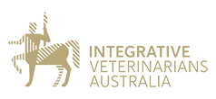 integrative - IVA - logo
