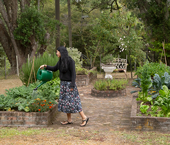 Mlada ženska vrtnari na svojem dvorišču z doma vzgojenimi sadikami