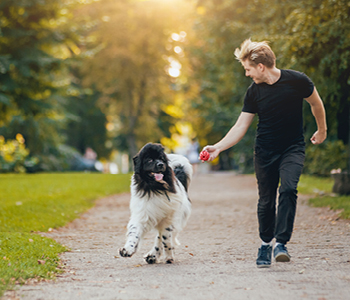 Bolečina obraza po nerodnem padcu na sprehodu s psom
