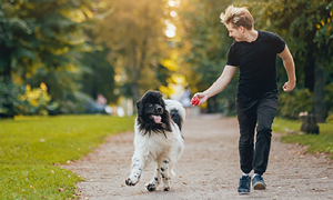 Bolečina obraza po nerodnem padcu na sprehodu s psom