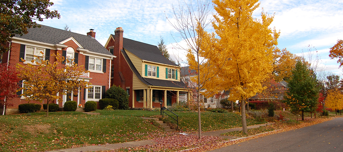 A home in a leafy neighborhood