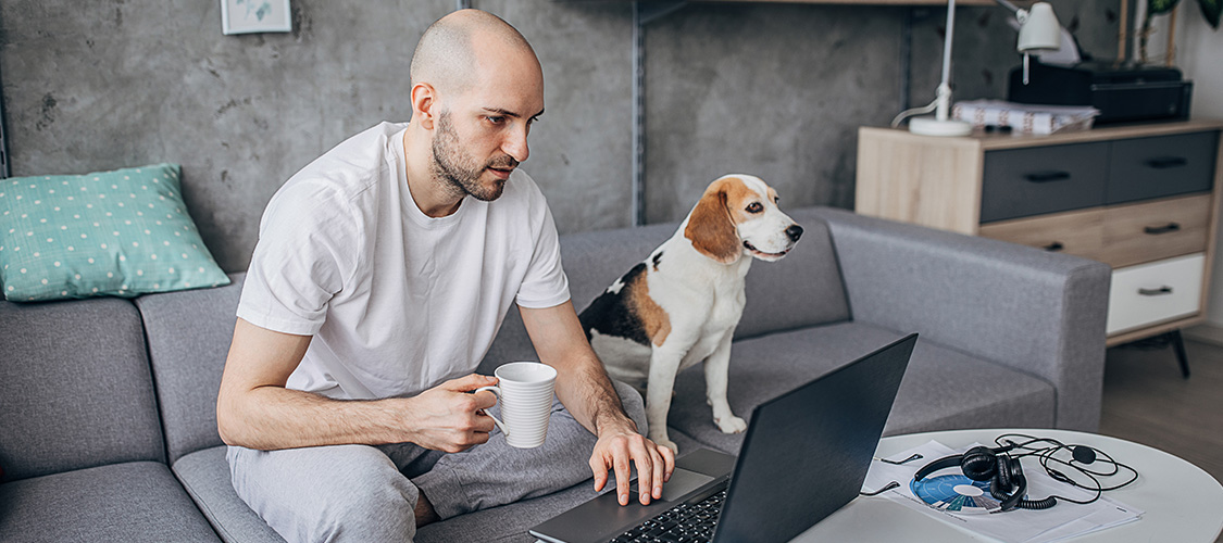 A man looking a laptop with a dog next to him