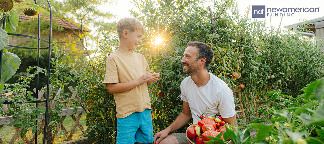 A father and son picking tomatoes from their garden.