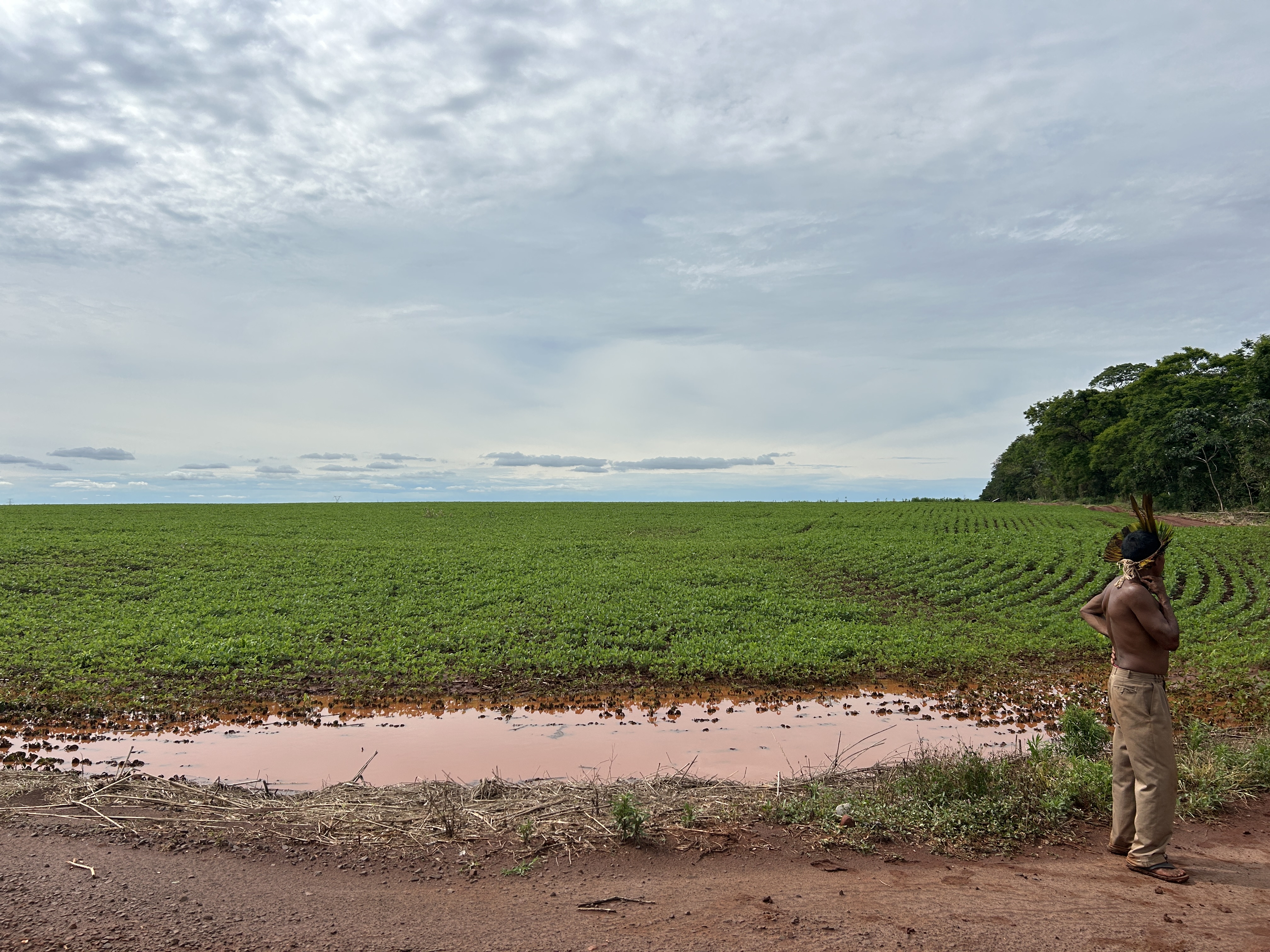 An Indigenous man stands at the edge of a massive green soy field that meets a thin line of remaining rainforest under a cloudy sky.