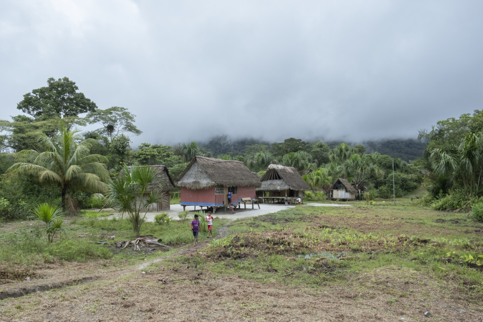 A wide shot of a small village featuring several traditional wooden huts with thatched roofs nestled in a lush, tropical landscape under an overcast sky.