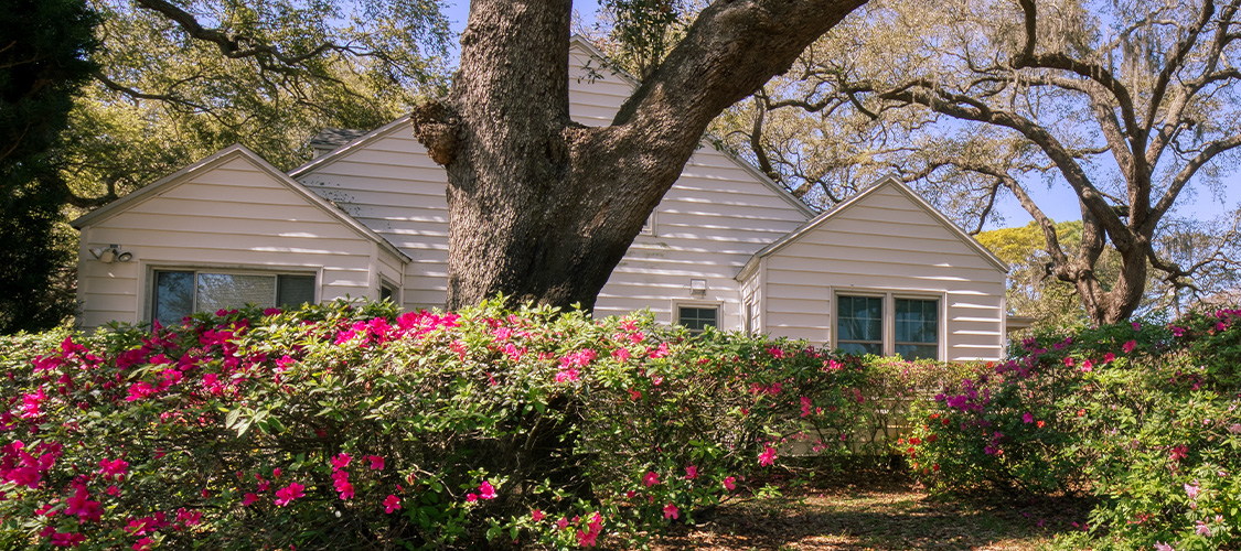 A home in Mississippi