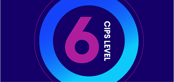 Stylized graphic showing a large purple '6' with the text 'CIPS LEVEL' vertically alongside it, set against concentric blue and purple rings on a dark background.