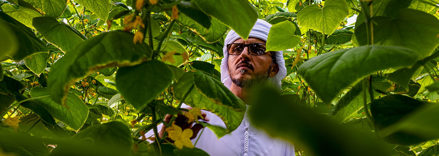 اجعل الاستدامة جزءًا من أسلوب حياتك اليومى | الدار