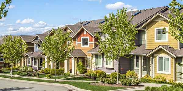 neighborhood