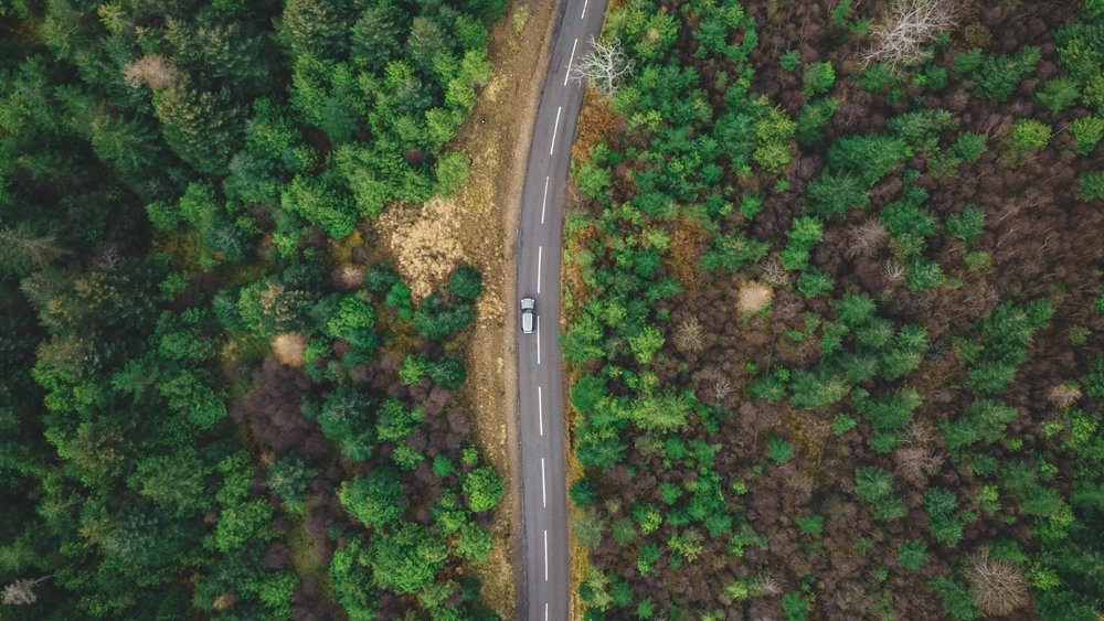 Aerial photo of car driving through forest